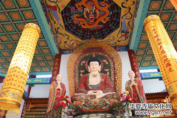 ������2018��桢ʯ��������������ҹ���������