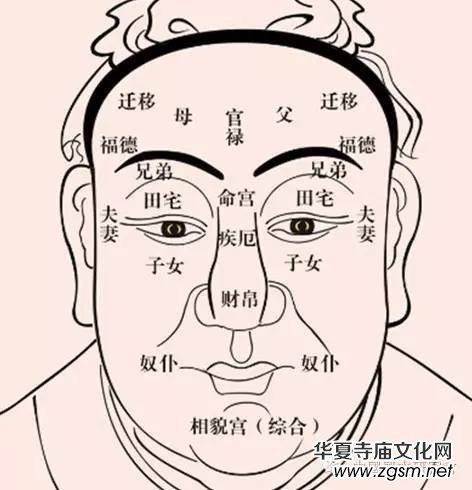 �~���������x��һ�����\���L(f��ng)ˮ�ķeꎵ����x��,��������˾���,�Ž��F��ʮ�B(y��ng)��