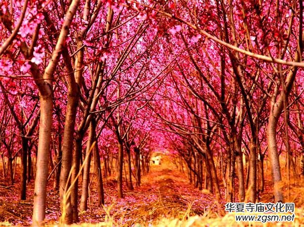 ���Ӱҕ����һ�_Ļʽ