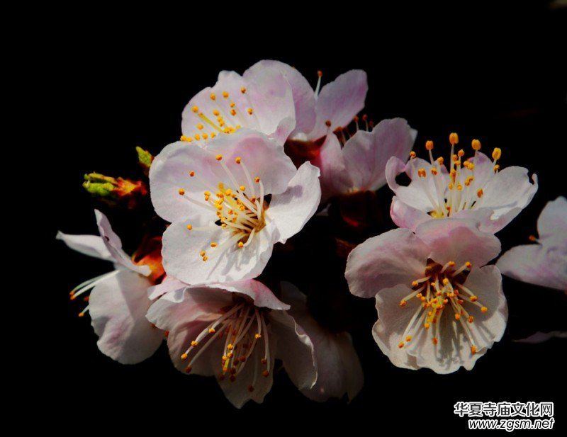 �����_�ˡ���Ԋ���zӰ