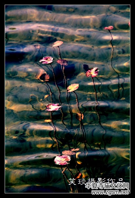 �ݺɪq�и߹�(ji��)�ڡ���Ц���zӰ��Ʒ