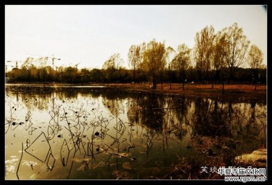 �ݺɪq�и߹�(ji��)�ڡ���Ц���zӰ��Ʒ