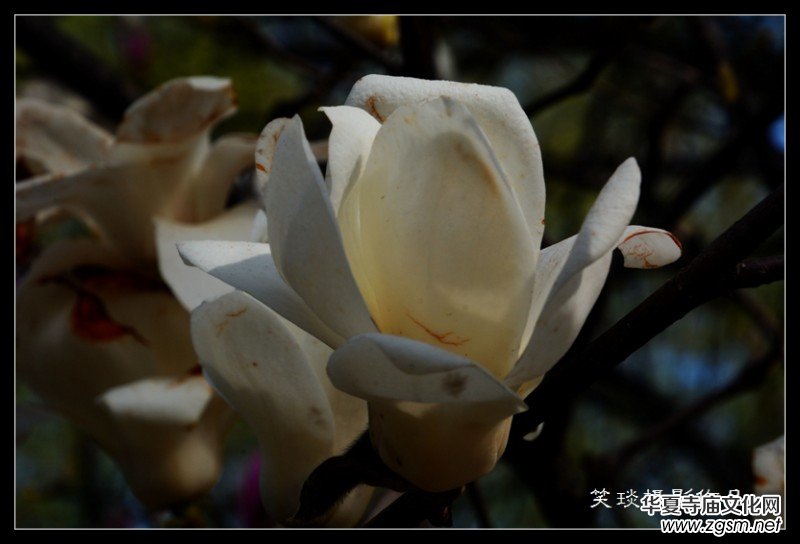 �ݺɪq�и߹�(ji��)�ڡ���Ц���zӰ��Ʒ