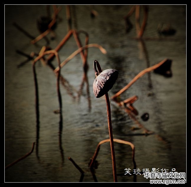 �ݺɪq�и߹�(ji��)�ڡ���Ц���zӰ��Ʒ