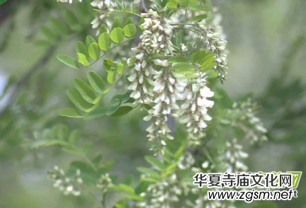 �Ի���ý�����(b��o)�󿯹������u����Ԓ�Ļ��d�(zh��n)