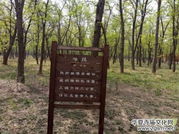 �Ի���ý�����(b��o)�󿯹������u����Ԓ�Ļ��d�(zh��n)