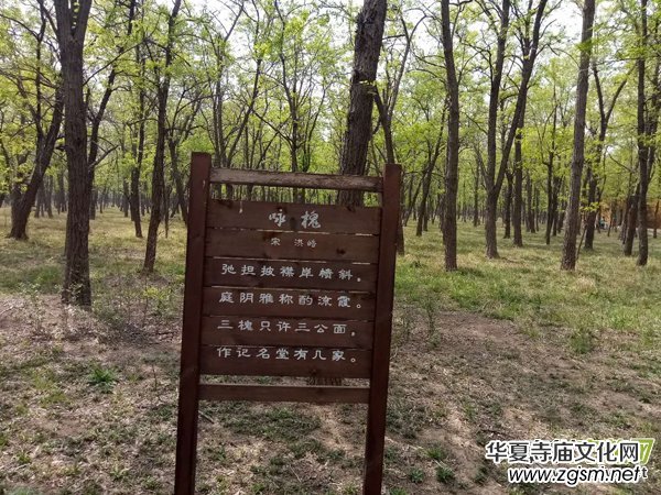 �Ի���ý�����(b��o)�󿯹������u����Ԓ�Ļ��d�(zh��n)