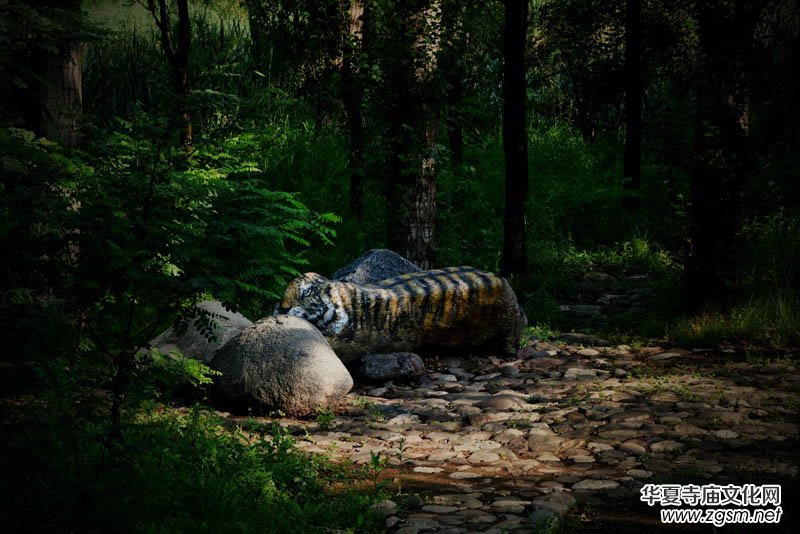 ��Ȼ���^ ������ء����ӑc��ˮ��