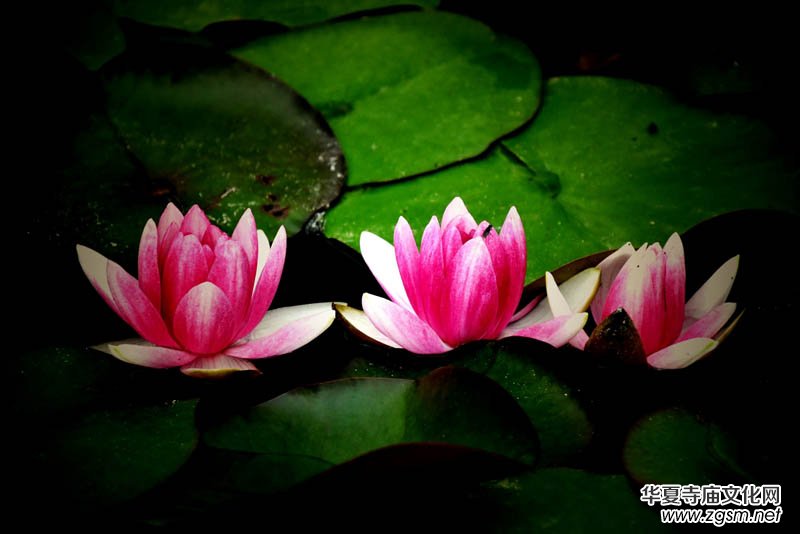 ��Ȼ���^ ������ء����ӑc��ˮ��