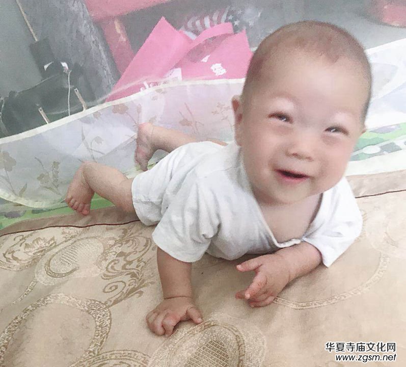 ���ޘsָ��������?ji��ng)��՘s�������£�����