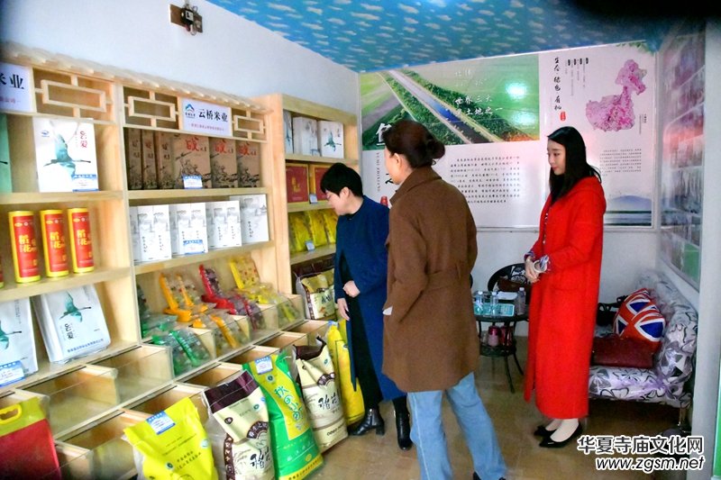 ������̩���Ƙ�������v�������