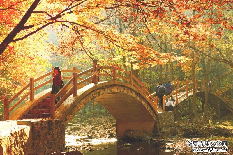 ��Խ��zӰ��Ʒ�x��