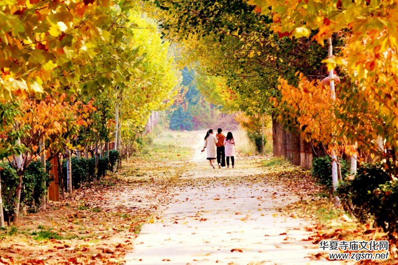 ��Խ��zӰ��Ʒ�x��