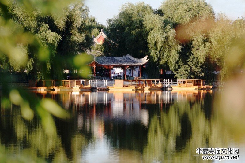 ��Խ��zӰ��Ʒ�x��