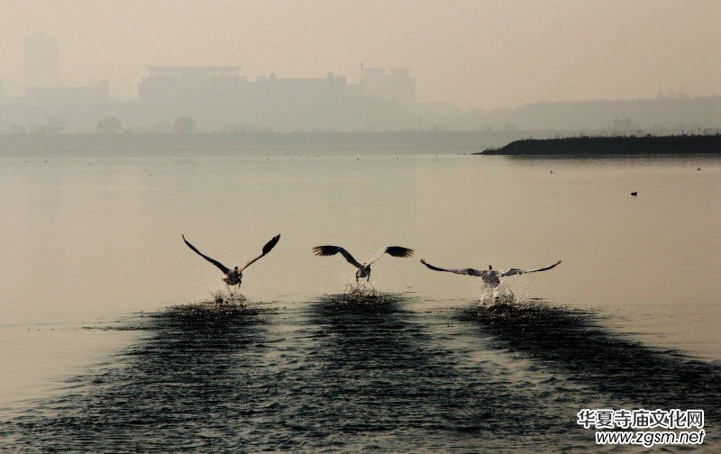 ��Խ��zӰ��Ʒ�x��