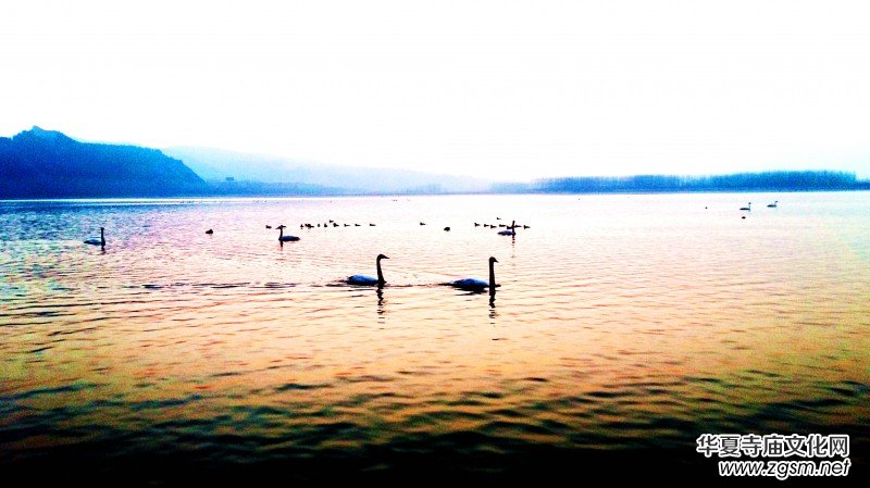 ��Խ��zӰ��Ʒ�x��