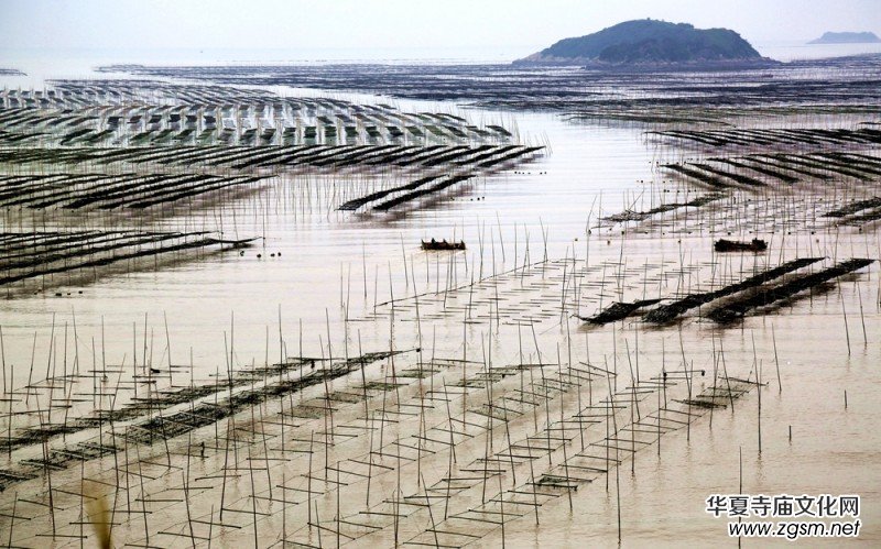 ������zӰ��Ʒ�x��