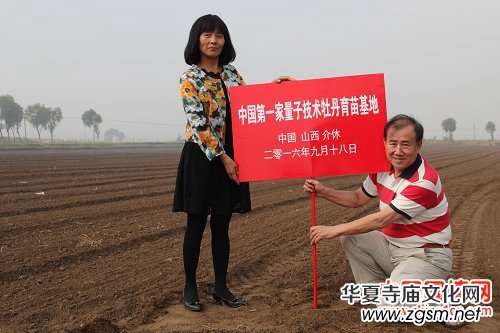 山西省牡丹園“首屆迎新春牡丹鮮花展”完美收官 山西省牡丹園“首屆迎新春牡丹鮮花展”完美收官