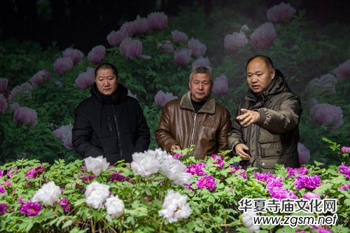 ɽ��ʡĵ���@���׌�ӭ�´�ĵ���r��չ�������չ�