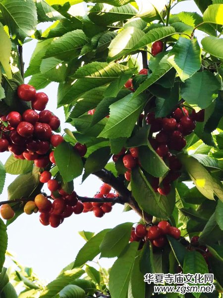 2019�t�ǉ�Դ��Ԋ��(ji��)�_Ļʽ�߼o���ѩ���Q��305��������ں����Ȫ�׼��������҈@�e�k