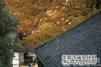 ��ΌW(xu��)������湦����