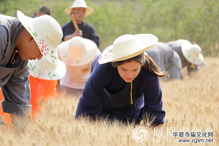 ����һ���S�ռ�����ɽ������ɮ���]��ո�С��