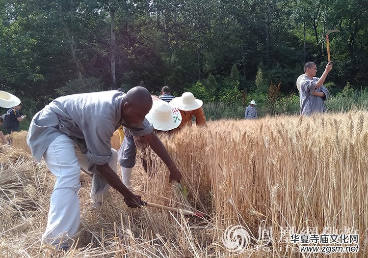 ����һ���S�ռ�����ɽ������ɮ���]��ո�С��