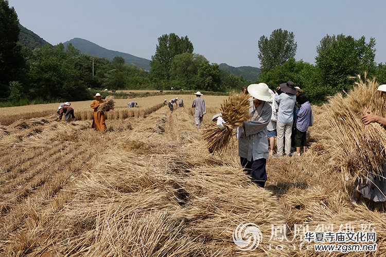 ����һ���S�ռ�����ɽ������ɮ���]��ո�С��