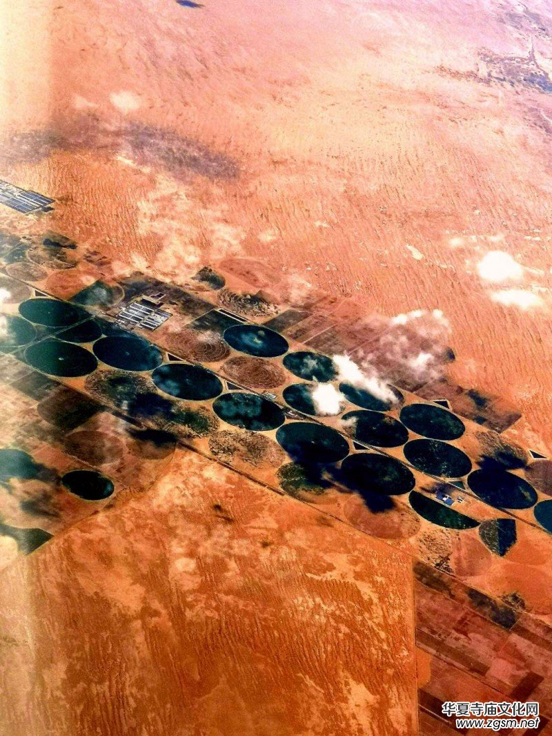 Ц��(����(gu��))���w�C(j��)�r(sh��)�ĵ���Ƭ,��������С����