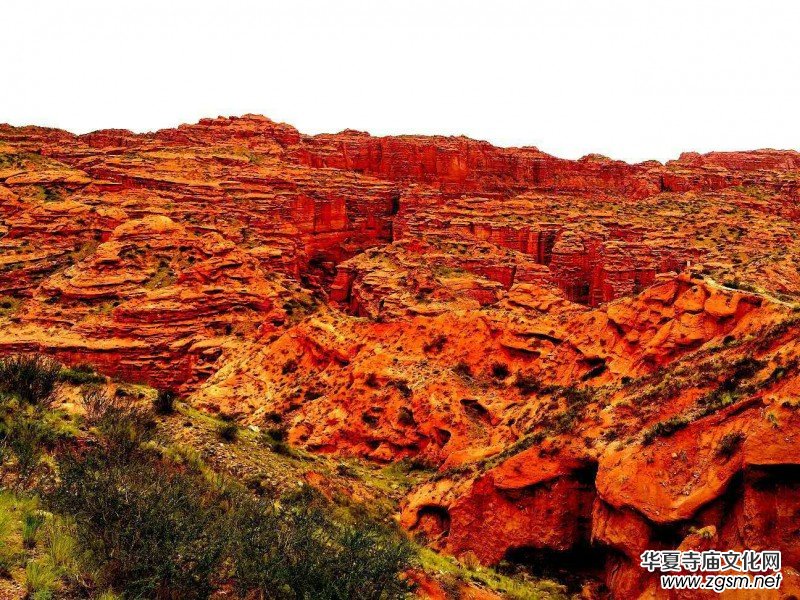 Ц���zӰ:�½������Fľ����{����Ӱ