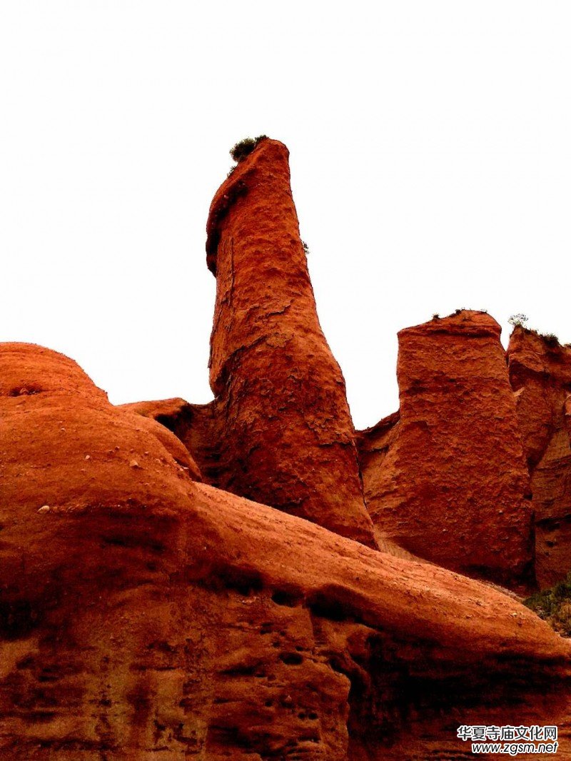 Ц���zӰ:�½������Fľ����{����Ӱ