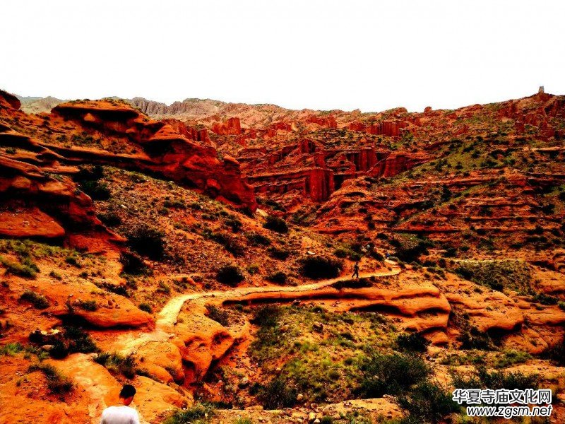 Ц���zӰ:�½������Fľ����{����Ӱ