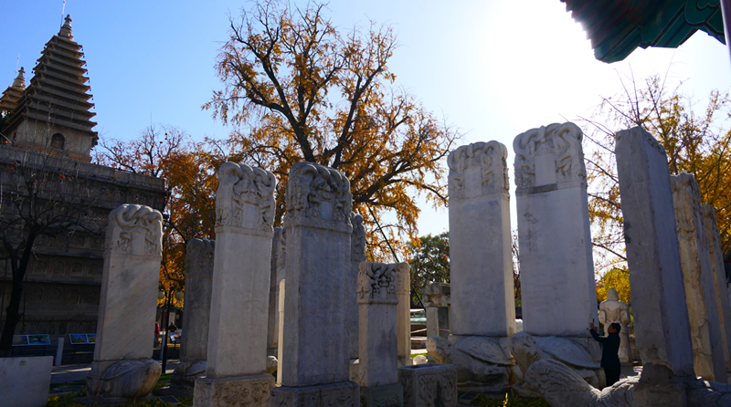 �����¡��������Ļ��Y(ji��)�ϵĵ䷶