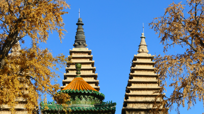 ��������ɫ