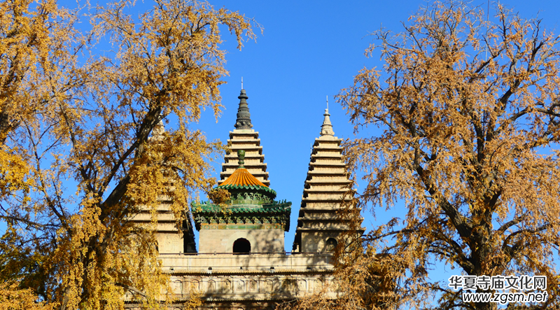 ��������ɫ