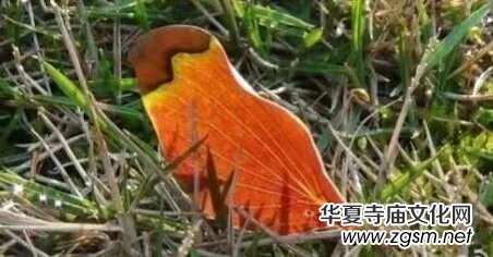 �K����: ��������~