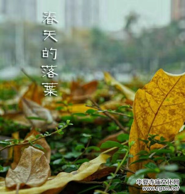 �K����: ��������~