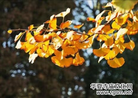 �K����: ��������~