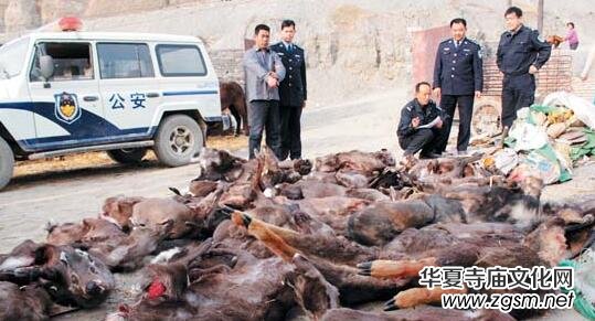 ��(gu��)���ֲݾֵ��岿�T��ͬ�_չ���Ұ����(d��ng)���`Ҏ(gu��)���׌��(xi��ng)��(zh��)���Є�(d��ng)