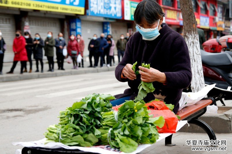 ����(ji��n)�ء���ا�ǔzӰ��Ʒ������־�ɳ� �������ו����zӰչ����ͶƱ�u(p��ng)�x��