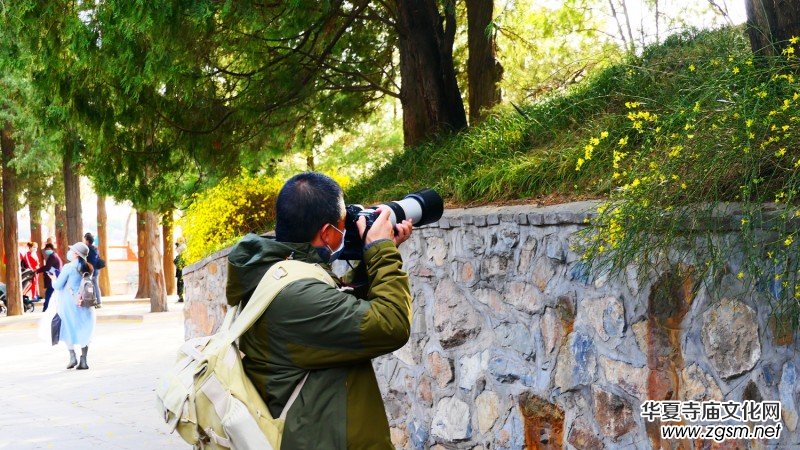 �����U�͈@ �Ŀ����������ľ�ɫ