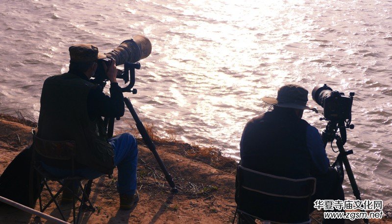 �����U�͈@ �Ŀ����������ľ�ɫ