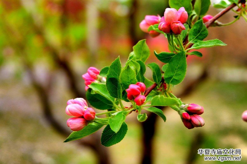 �O��܊�zӰ:����֮�F��������Ԋ(sh��)�~��ĺ��Ļ�