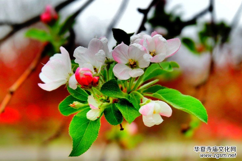 �O��܊�zӰ:����֮�F��������Ԋ(sh��)�~��ĺ��Ļ�