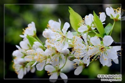 Ԋ(sh��)�裺�ٌ��