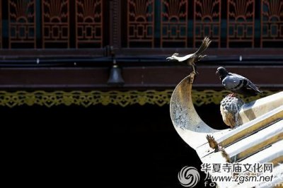 �ҵ��Լ�������܉�E