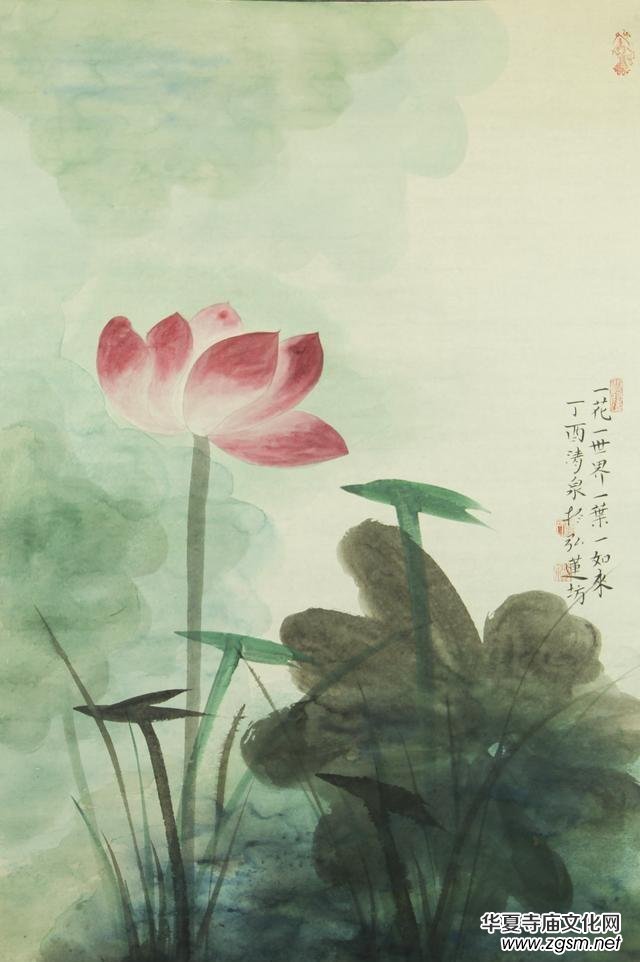 ��������ȪСӛ����������Ȫ  ���̾���