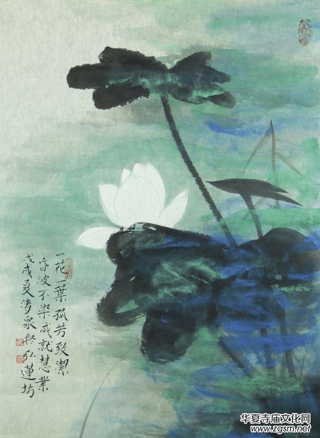 ��������ȪСӛ����������Ȫ  ���̾���