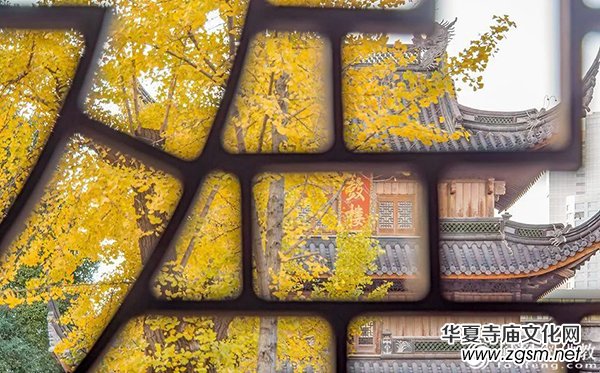 ����ʲô�Ƿ�����Ͼ���W(xu��)���Ŀ�Ժʿ���о�����ʮ����@���f