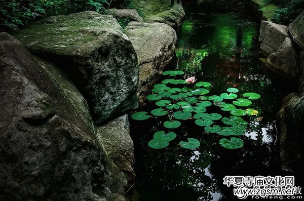 ����ʲô�Ƿ�����Ͼ���W(xu��)���Ŀ�Ժʿ���о�����ʮ����@���f